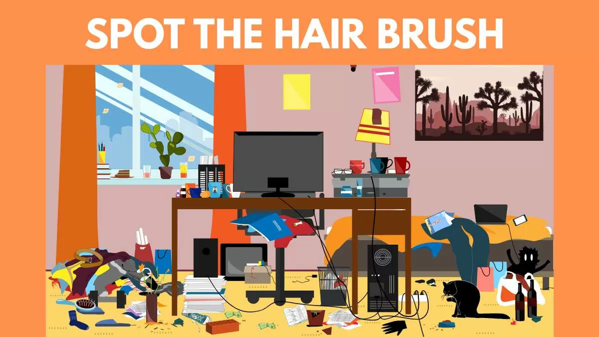 Spot the Hair Brush