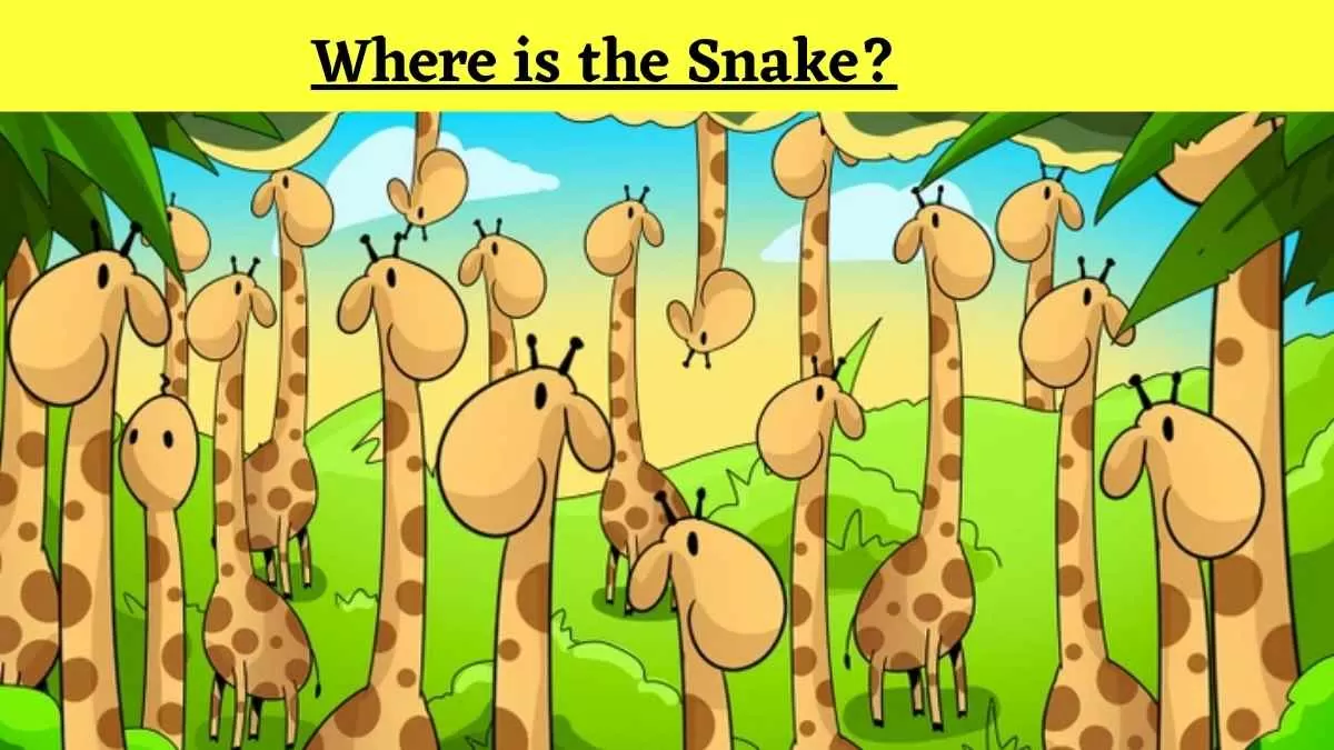 Visual Illusion: Can You Spot the Snake Among Giraffes? Only 1 % can find out in 6 Seconds! 
