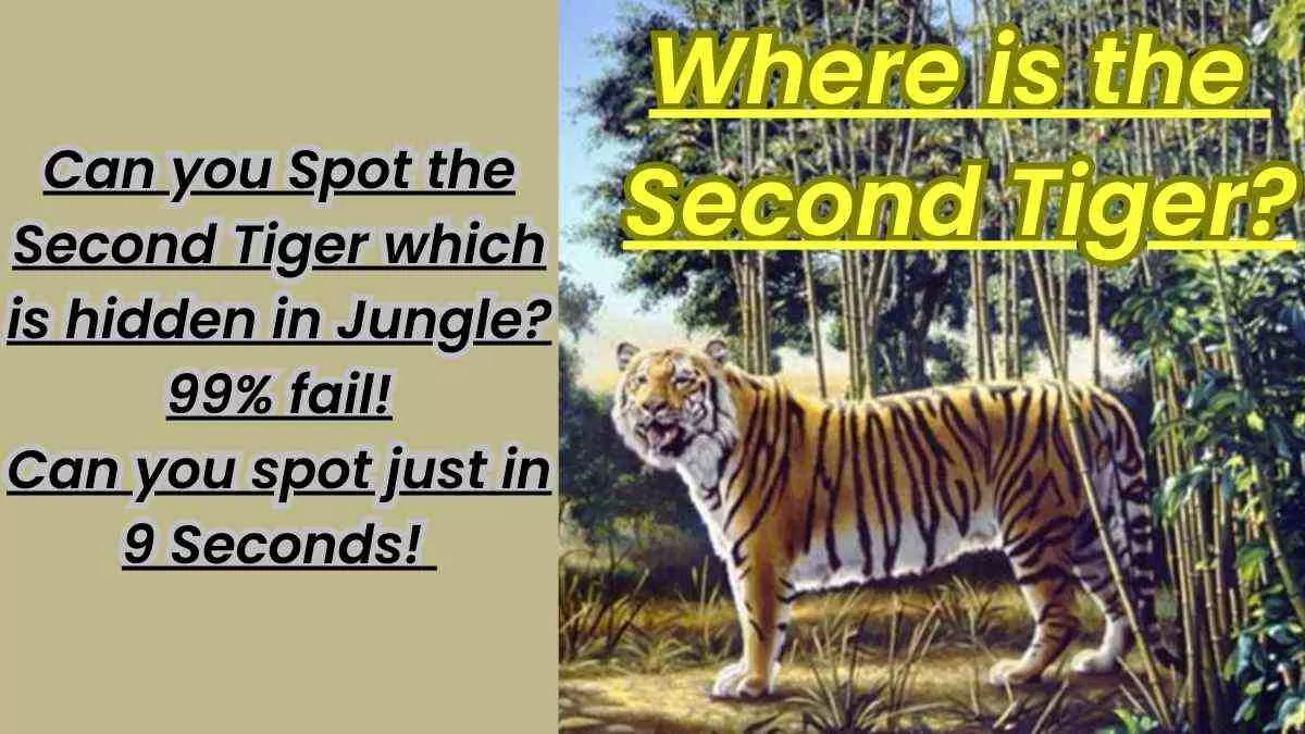 Can you spot the second tiger in 9 seconds, which is hidden in the jungle? 