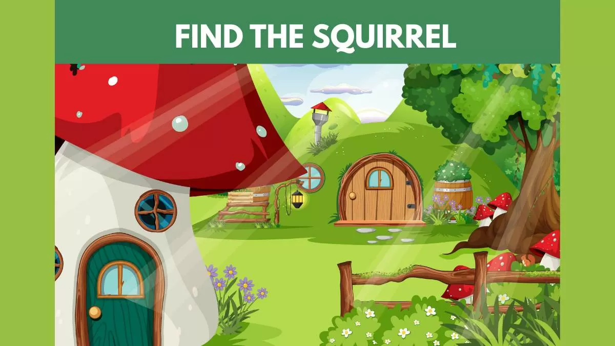 Find the Hidden Squirrel 
