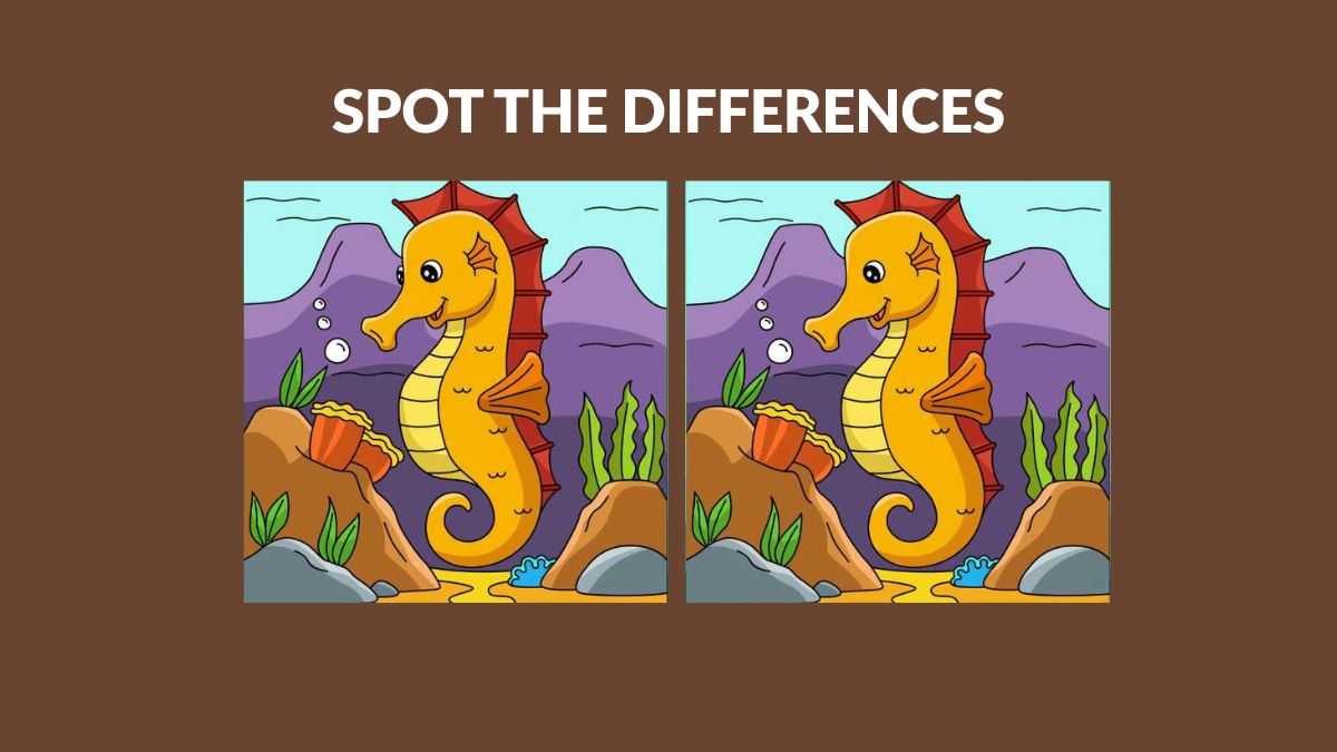 Can you spot three differences between the seahorse pictures in 16 seconds?