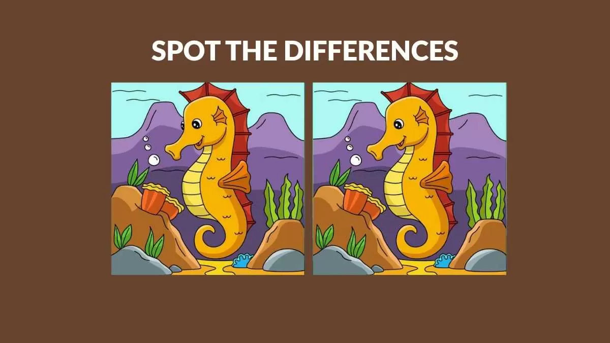 Spot three differences