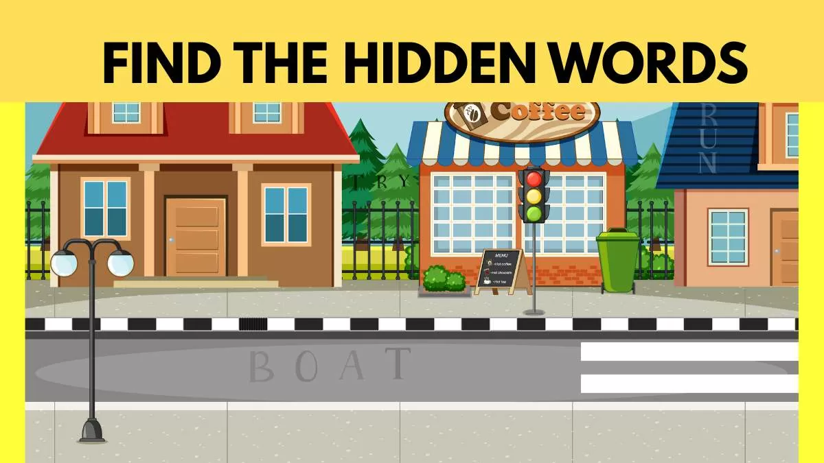 Find the 3 Hidden Words