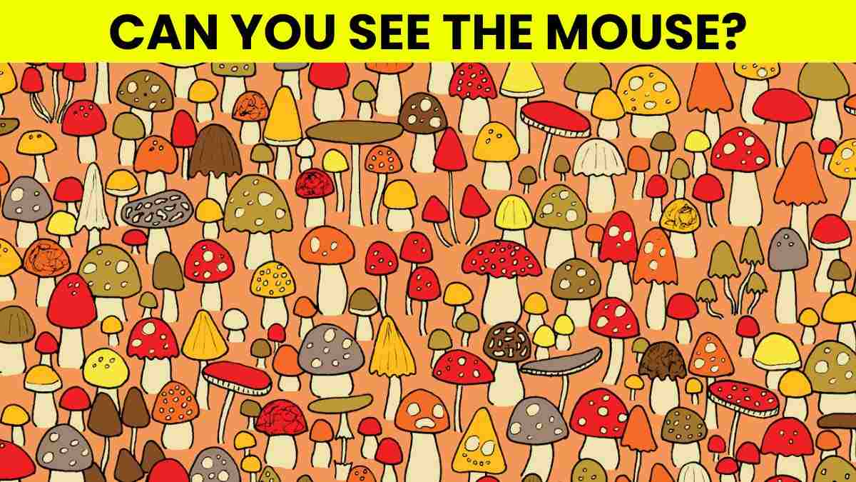 Picture Puzzle IQ Test: Only 1% Sharpest Eyes Can Spot The Mouse In 5 Seconds!