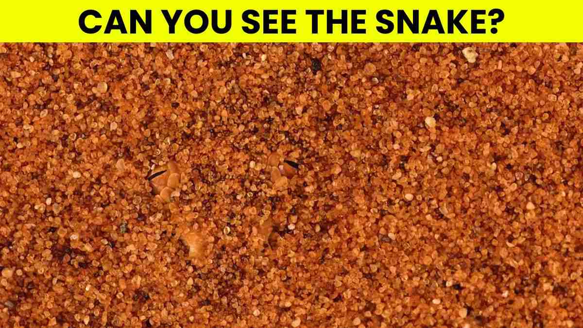 Optical Illusion IQ Test: A Snake is Lurking in the Sand! Only Genius Eyes Can Spot It In 5 Seconds!
