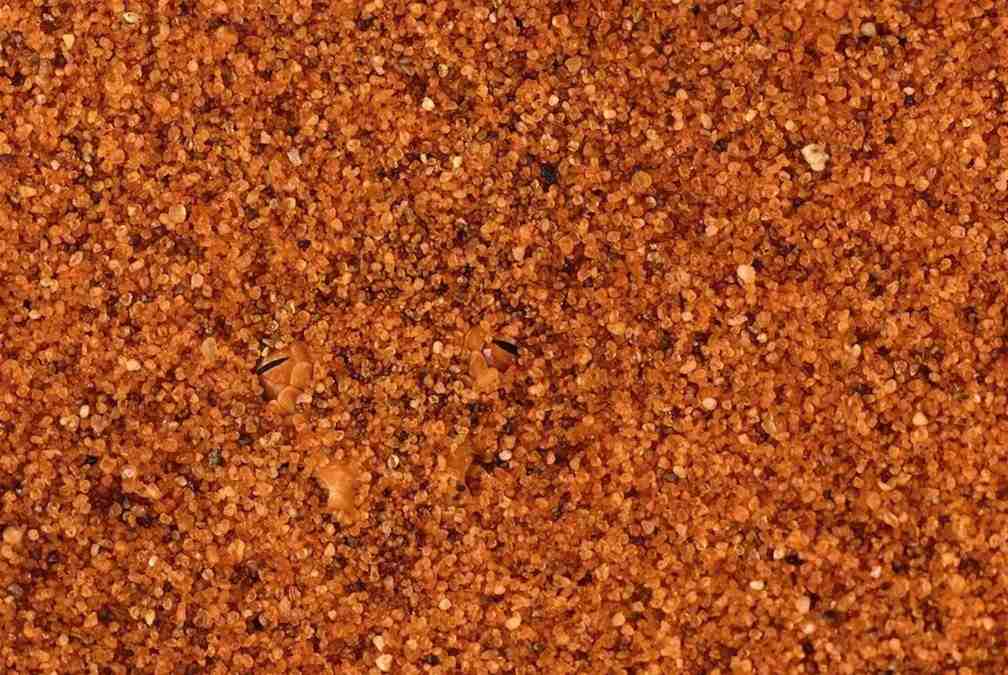 hidden optical illusions with answers