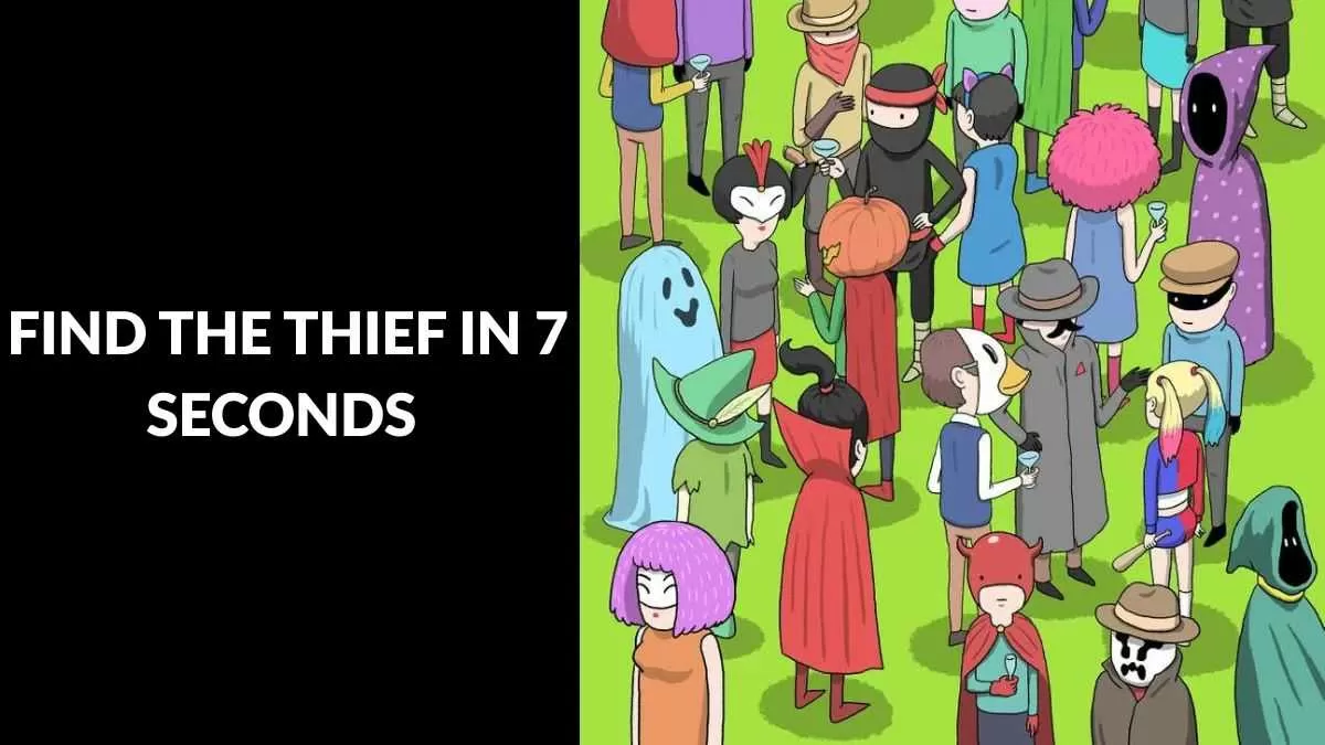 Find the thief at the party