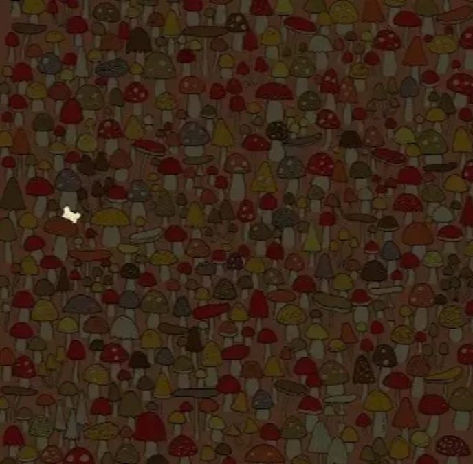 hidden picture puzzles with answers