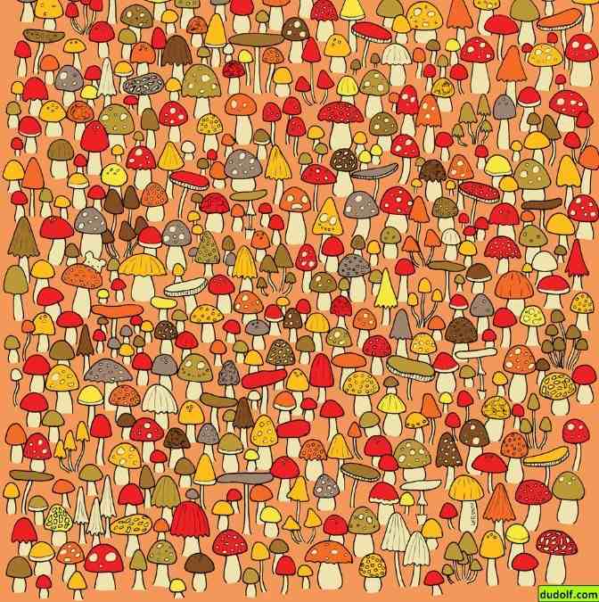 hidden picture puzzles with answers