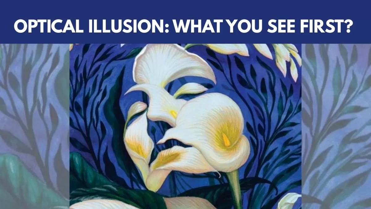 Optical Illusion: What you See First?