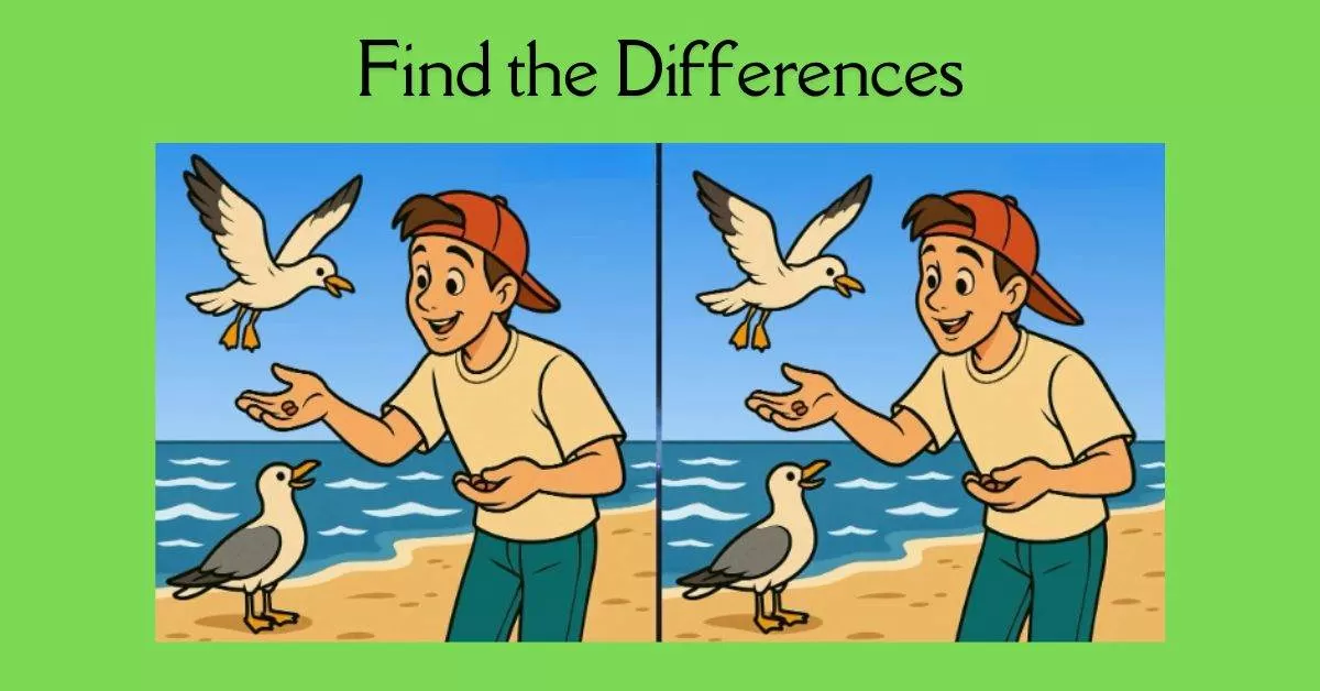 Spot the 3 Differences in Man Feeding Birds