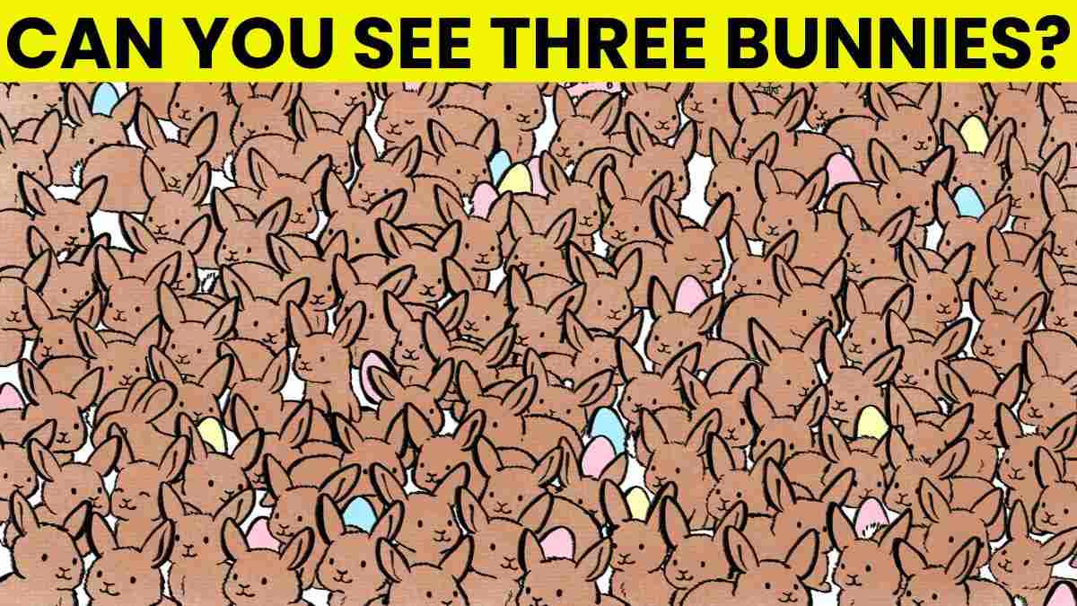 Picture Puzzle IQ Test: Can You Spot 3 Hidden Bunnies In 5 Seconds?