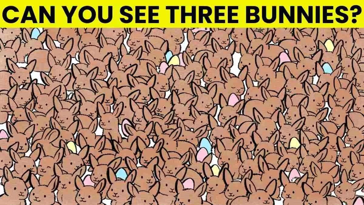 Spot the 3 Bunnies Before Time Runs Out!