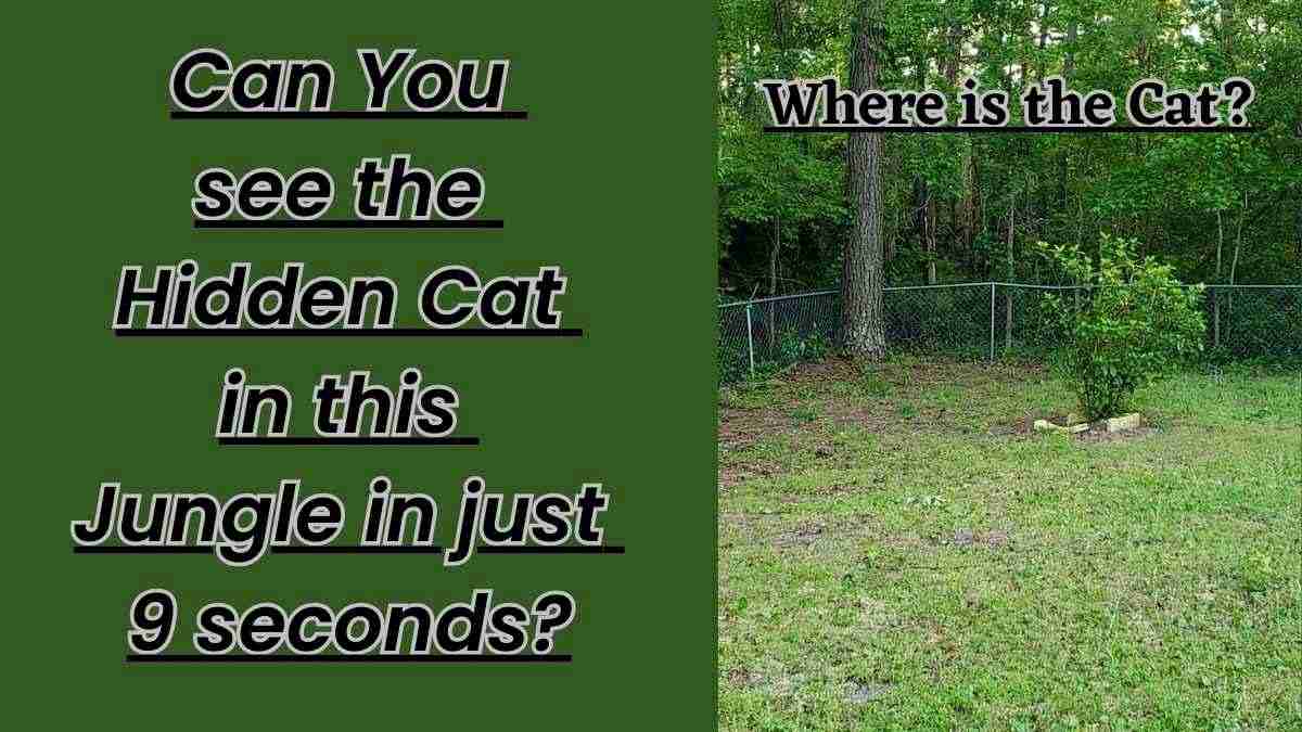 Optical Illusion: Can you see the hidden cat in this jungle in just 9 seconds?