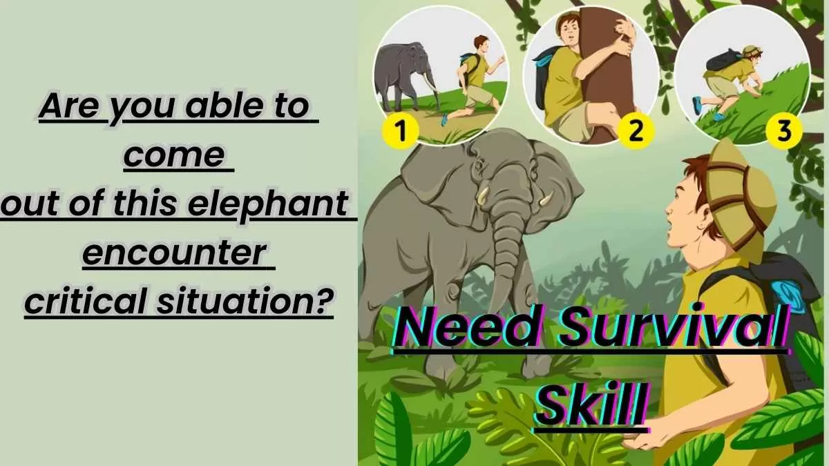 Are you able to come out of this elephant encounter critical situation?