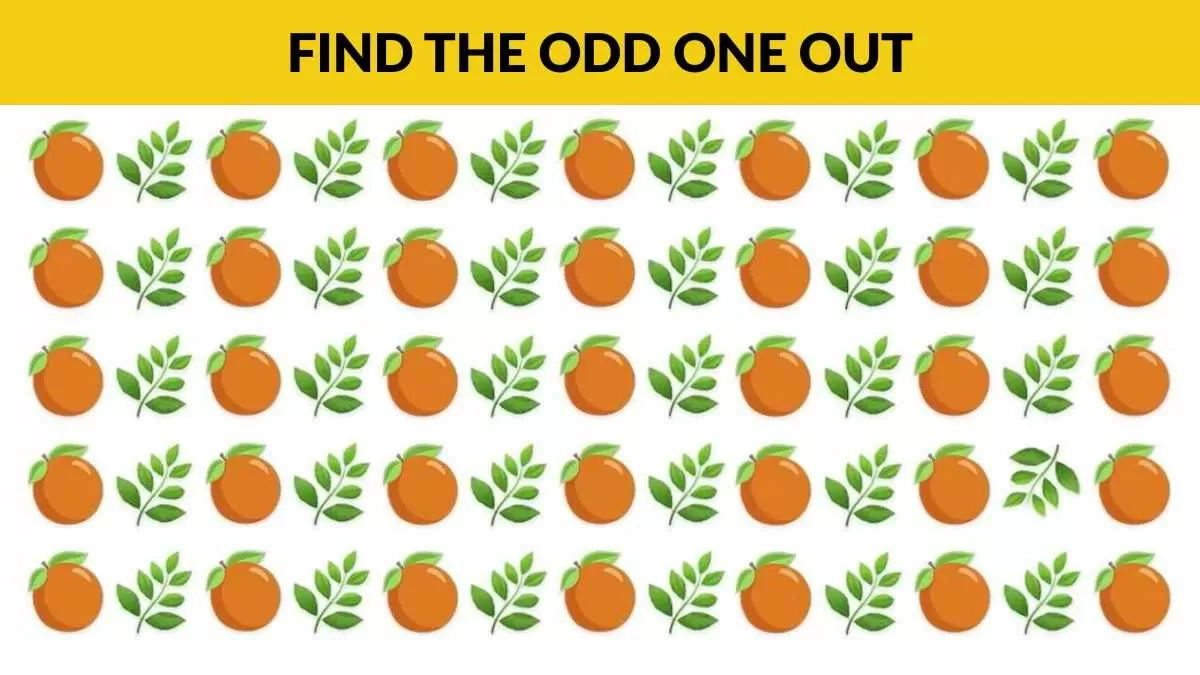 Find the odd one out