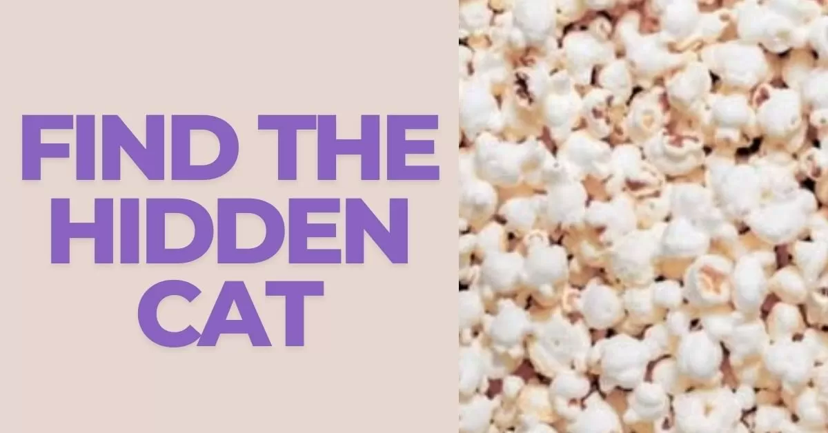 Find the Cleverly Hidden Cat in 5 Seconds