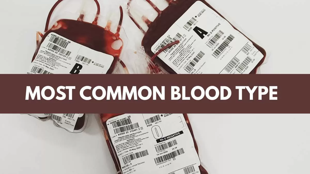 Most Common Blood Type