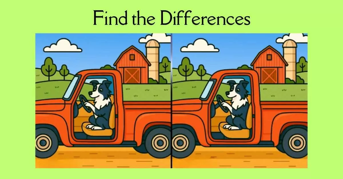 Spot the 3 Differences in Dog Driving a Truck