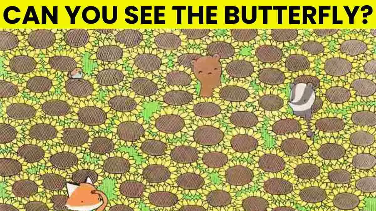 Spot the Butterfly in This Picture Puzzle!