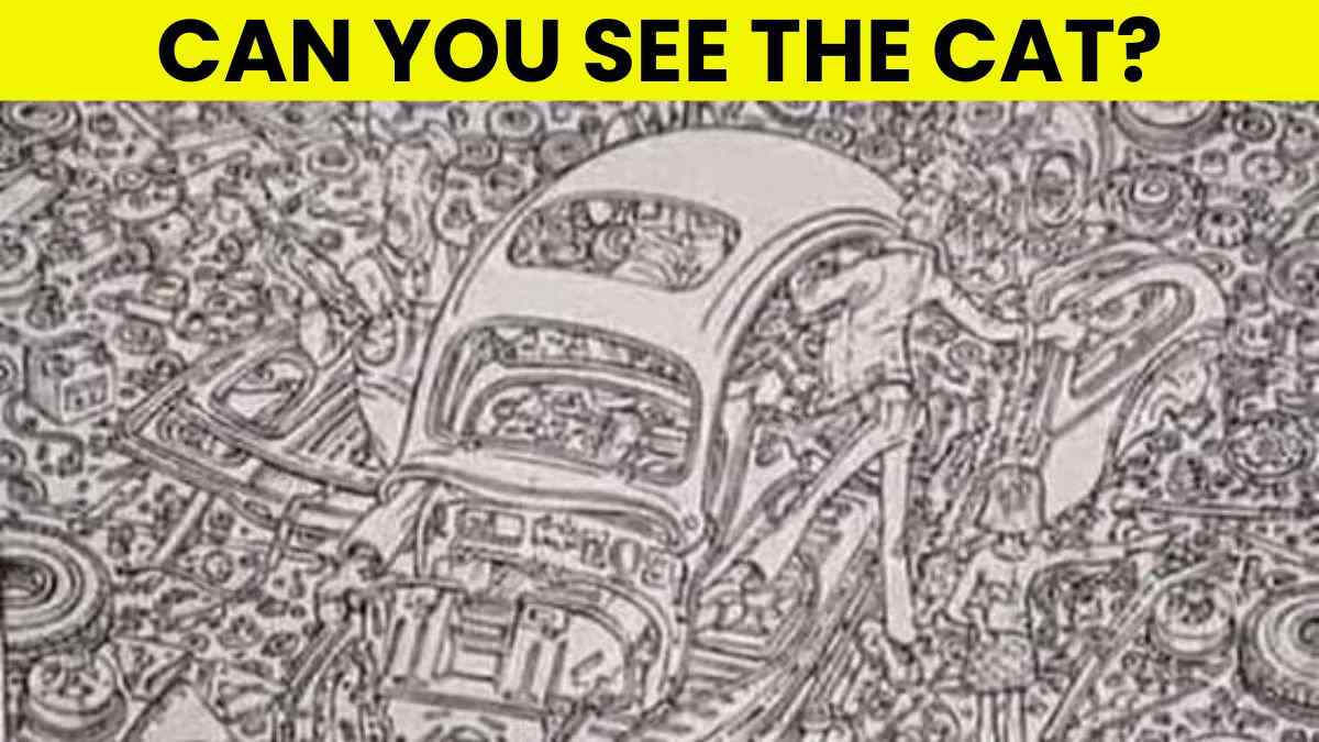 Optical Illusion IQ Test: If You Can Spot The Cat In 5 Seconds, You Have Detective Skills Like Sherlock Holmes!