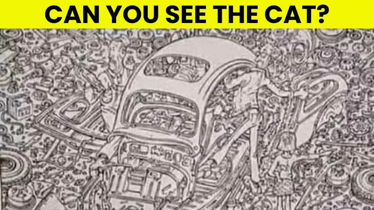 Spot the Hidden Cat.