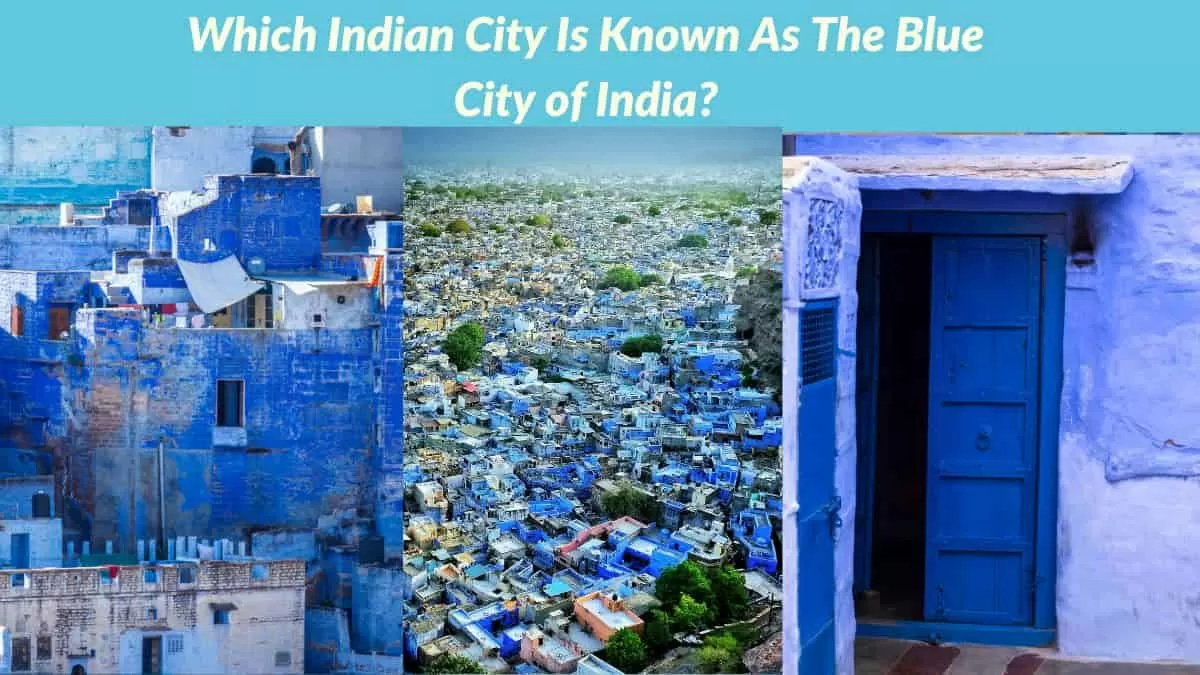 Blue City of India