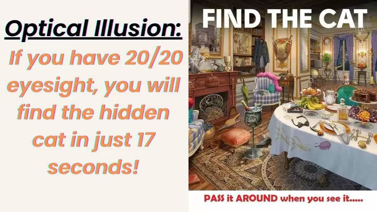 Optical Illusion: If you have 20/20 eyesight, you will find the hidden cat in just 17 seconds!