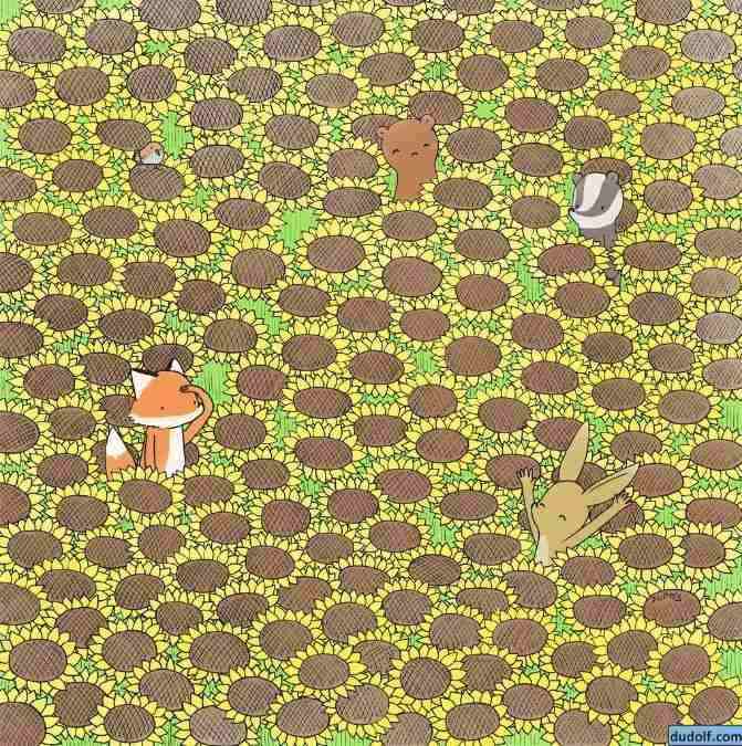 hidden picture puzzles with answers