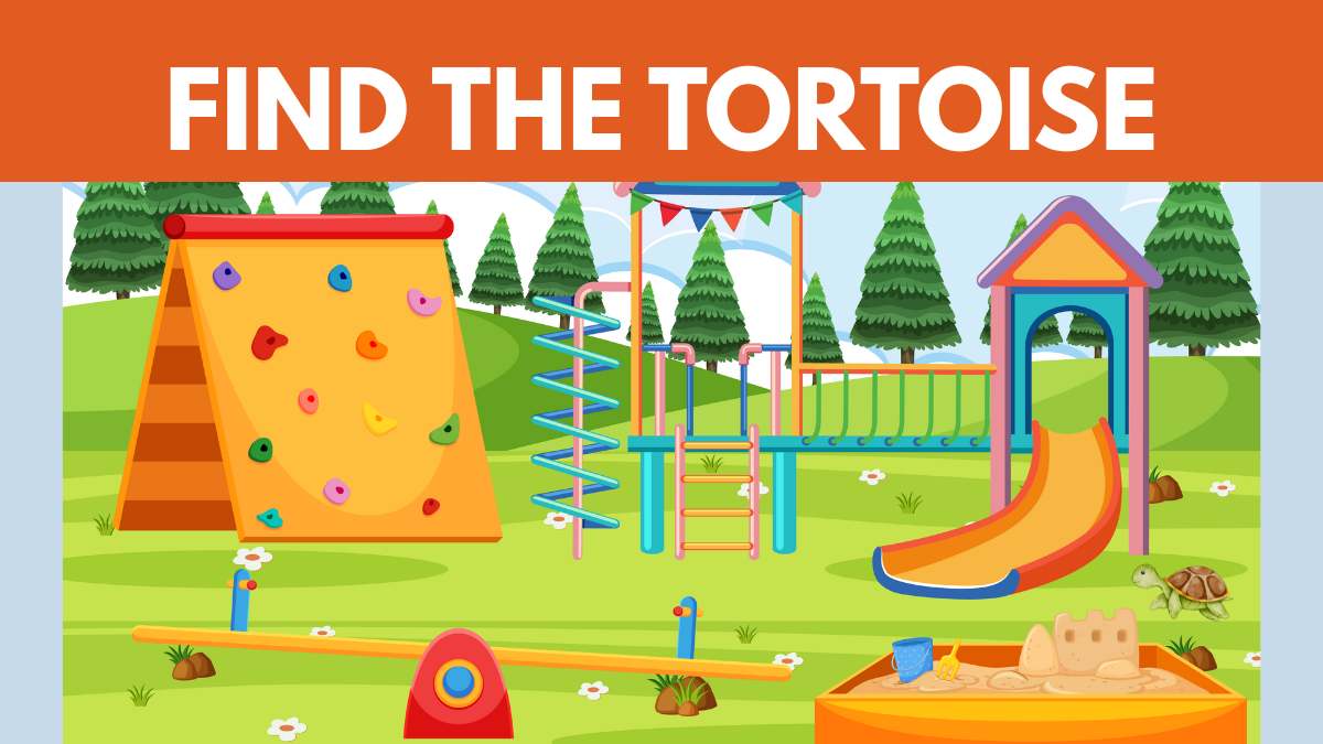 Brain Teaser: Only 2% of People Can Spot the Hidden Tortoise in the Park in 8 Seconds! 