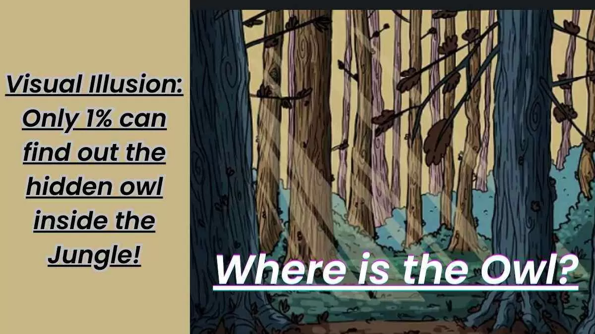 Visual Illusion: Only 1% can find the hidden owl inside the jungle!
