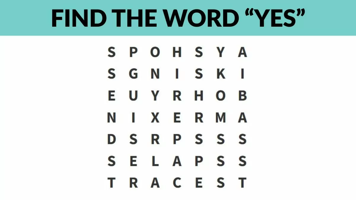 Find YES