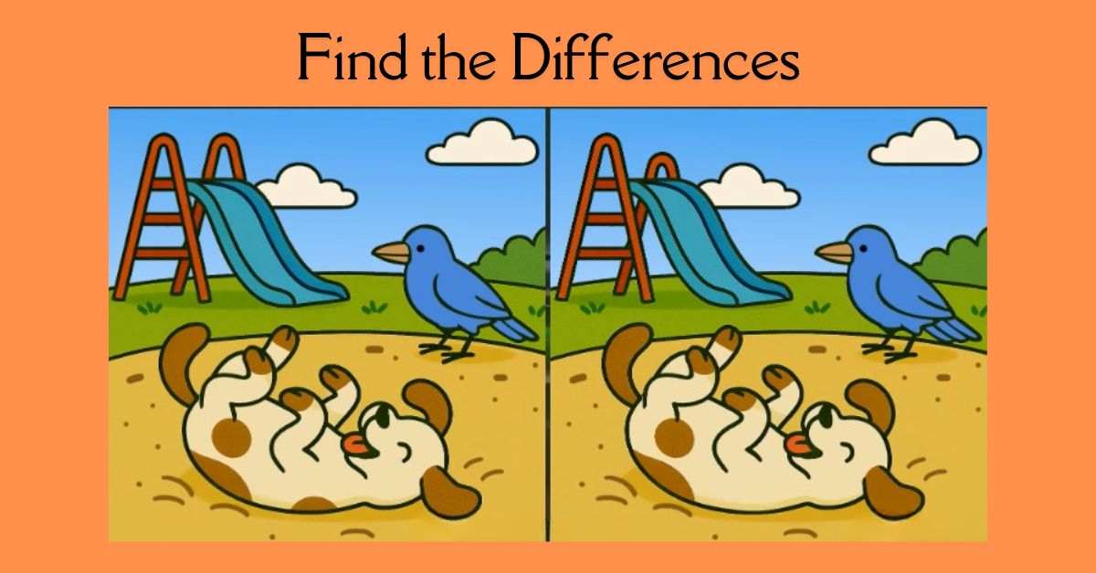 Spot the 3 Differences in Dog Playing in Mud Beat the 19-Second Challenge!