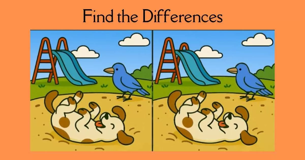 Spot the 3 Differences in Dog Playing in Mud