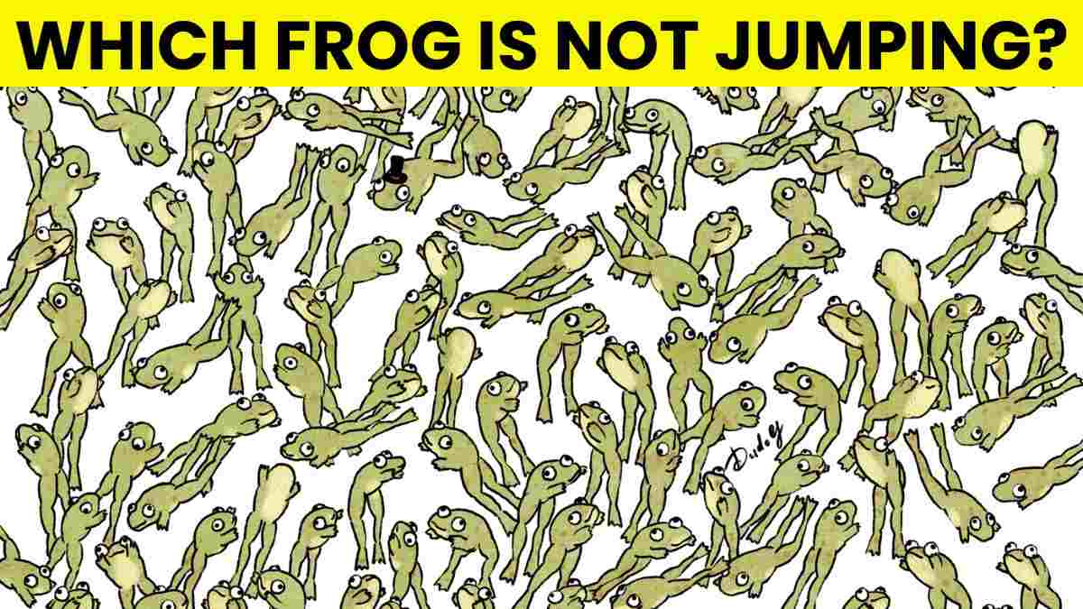 Picture Puzzle: Spot Which Frog Is Not Jumping? Only 1 in 10 Visual Hawks Pass This IQ Test In 5 Seconds!