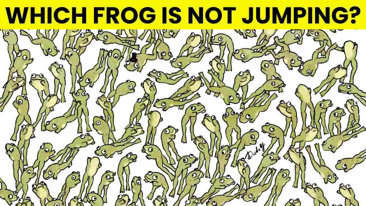 Spot the Frog That’s Not Jumping in 5 Seconds!