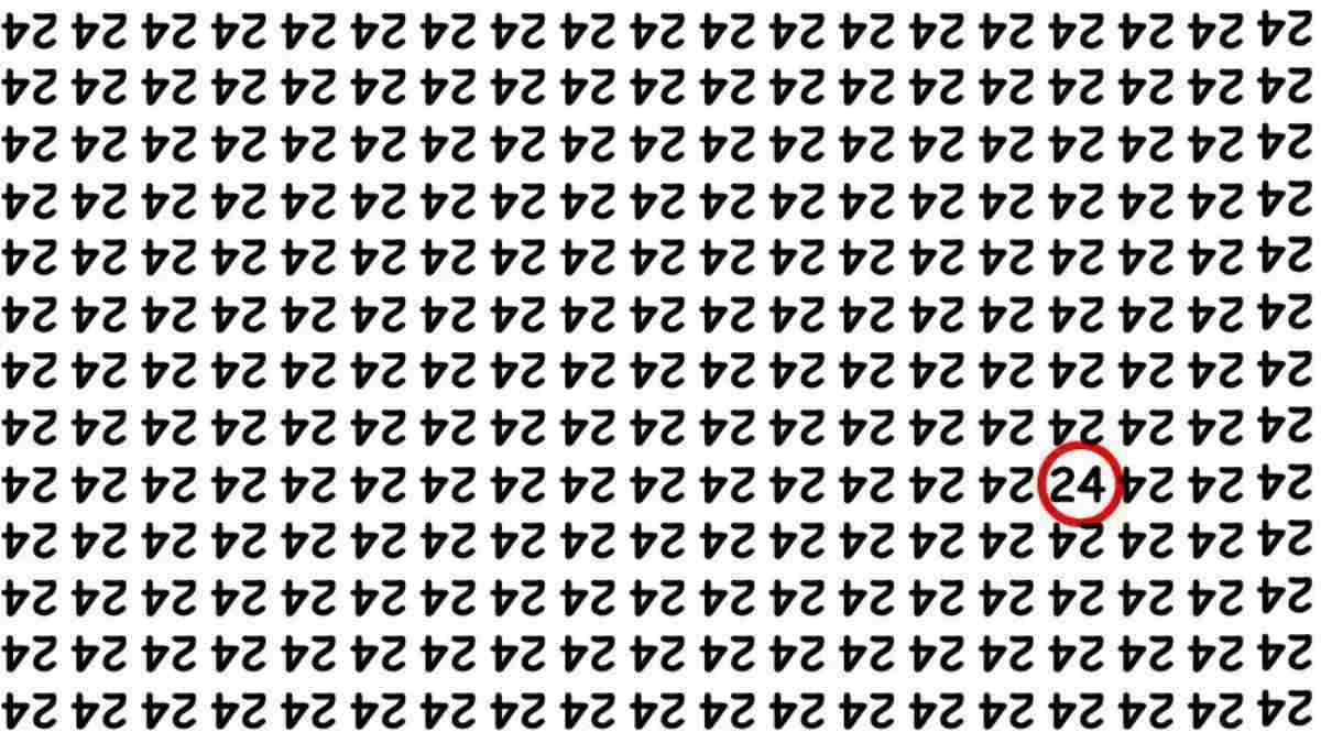 hidden optical illusions