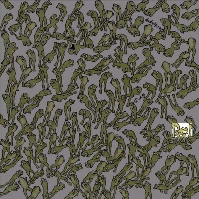 hidden picture puzzles with answers