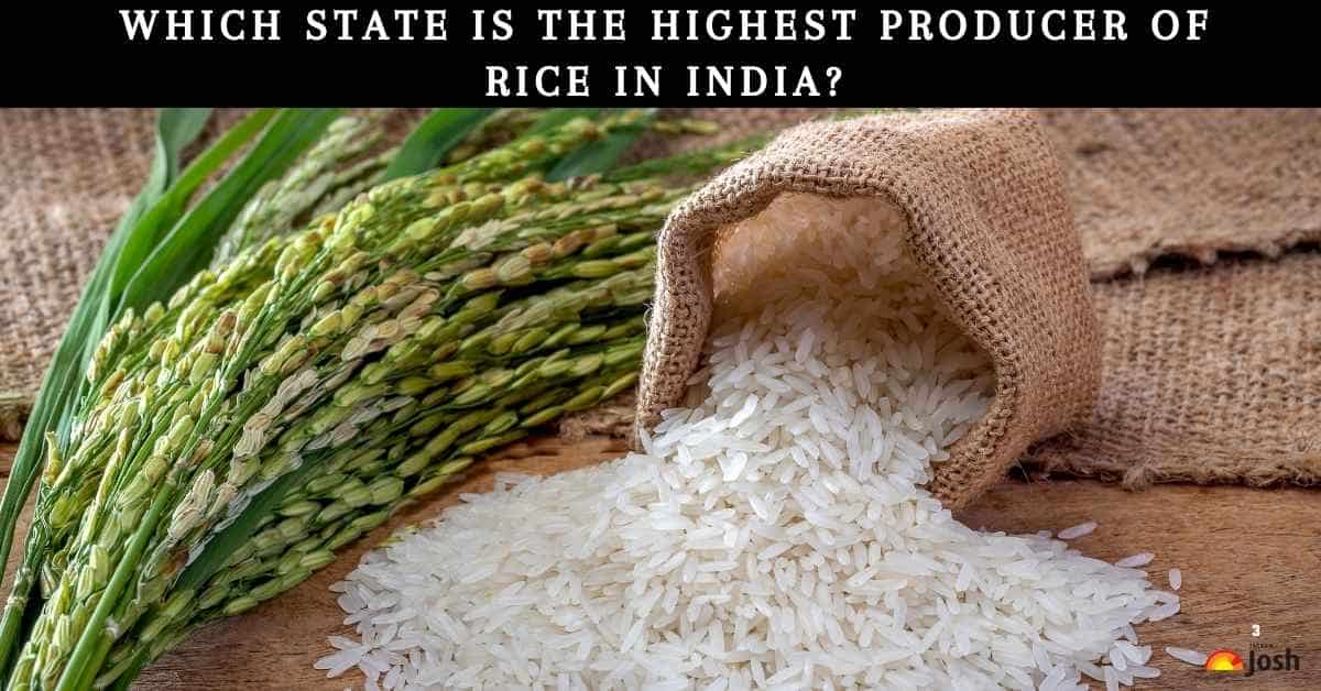 Which State Is the Highest Producer of Rice in India?