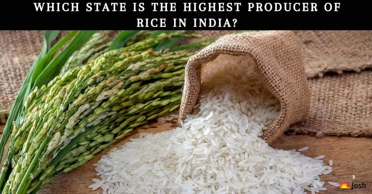 Which State Is the Highest Producer of Rice in India?