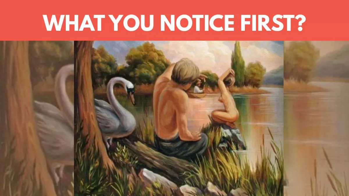 What Do you Notice First?