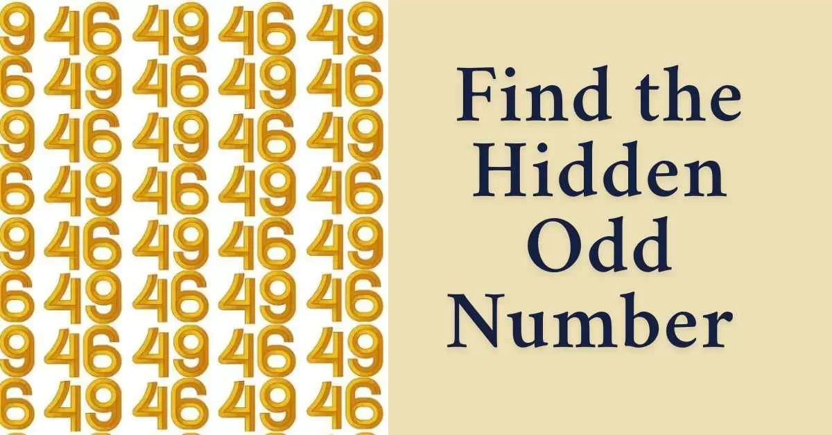 Spot the Hidden Number 44 in 5 Seconds