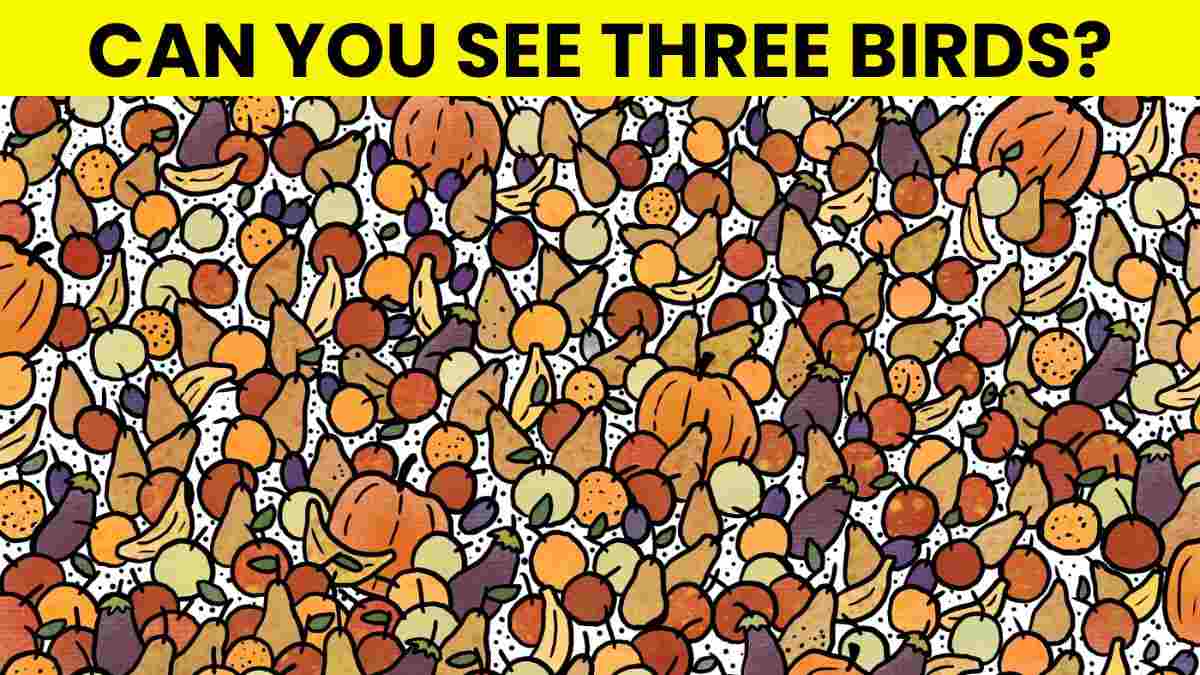 Picture Puzzle IQ Test: Can You Spot 3 Hidden Birds in 5 Seconds?