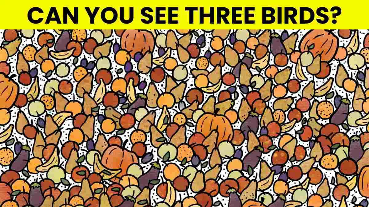 Can You Spot 3 Hidden Birds?