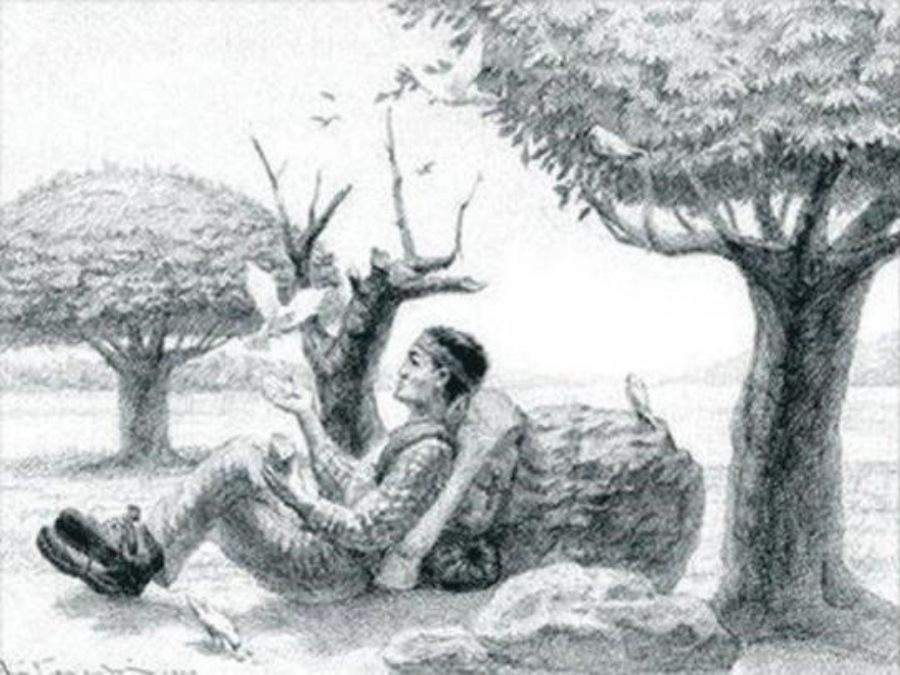 hidden optical illusions with answers