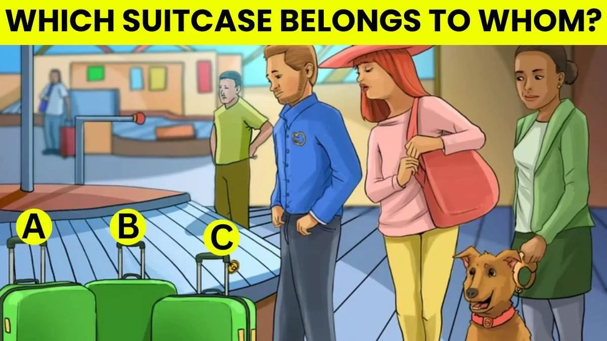 Which Suitcase Belongs to Whom?