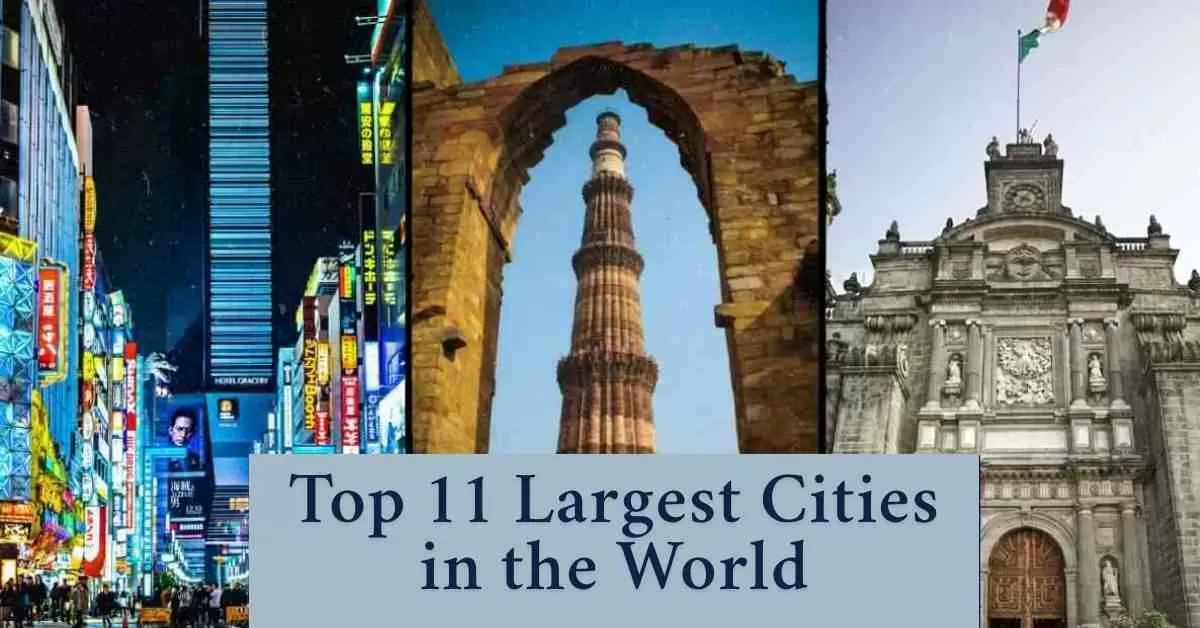 Largest Cities in the World by Population