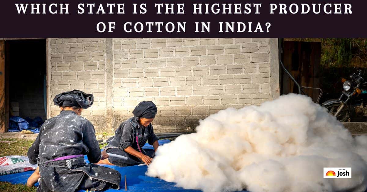 Which State Is The Highest Producer Of Cotton In India?