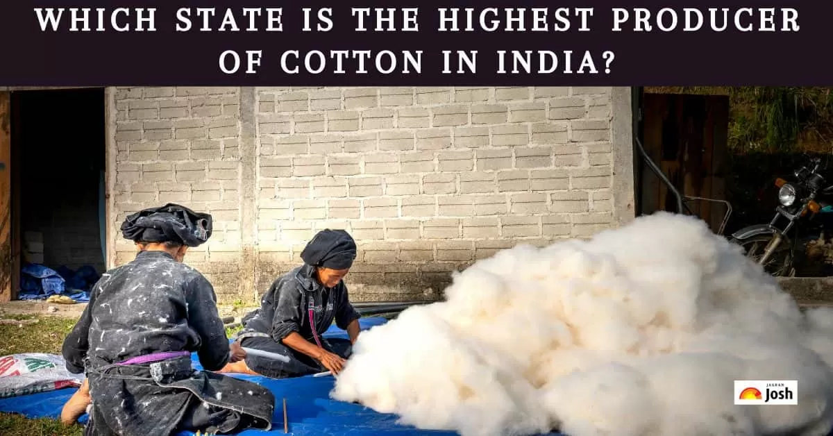 Which State Is The Highest Producer Of Cotton In India?