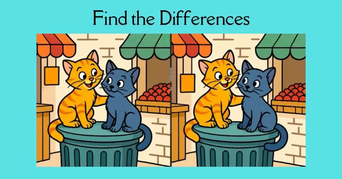 Spot the 3 Differences in Cats Sitting on a Bin 